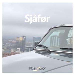 Sjåfør