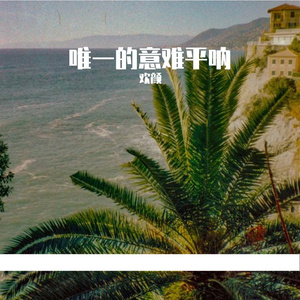 我不许愿了天空还给你