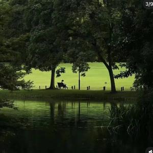 不渡