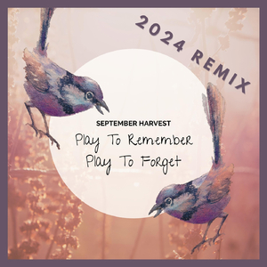 Sharon Shannon's Smile (Remix)