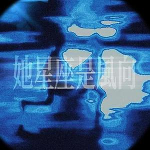她星座是风向