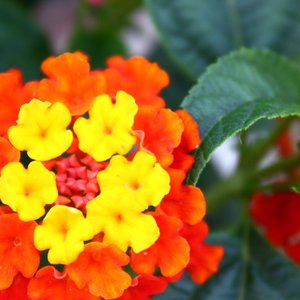 Your Love Is So Deep