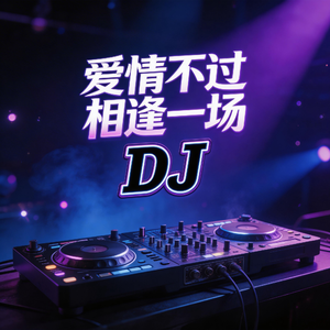 爱情不过相逢一场DJ