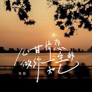 心甘情愿做你一生的知己 (沧桑版)