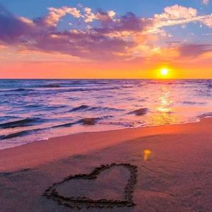 花开遇君雪伴卿相