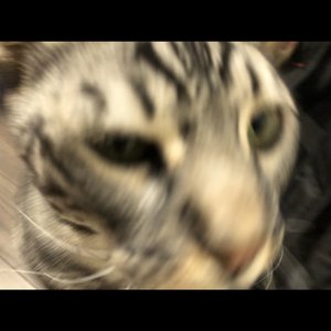 6/8