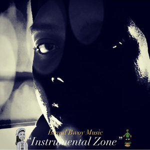 Instrumental Zone