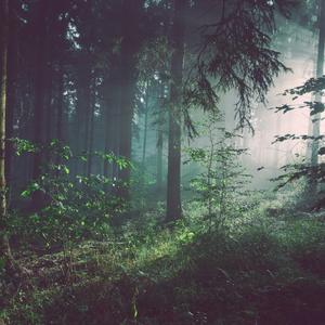 没有过程的结局