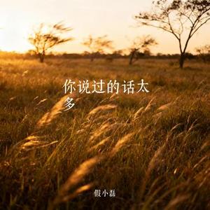 你说过的话太多