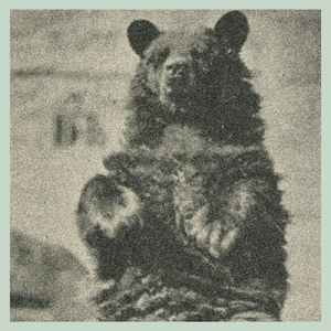 #19 (Stone In Focus)