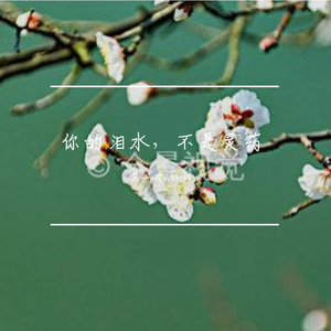 你的泪水，不是灵药