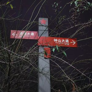 《孙一通的诗》