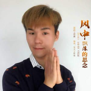 风中飘落的思念