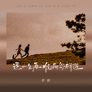 这一生再难和你相遇 (DJ版)