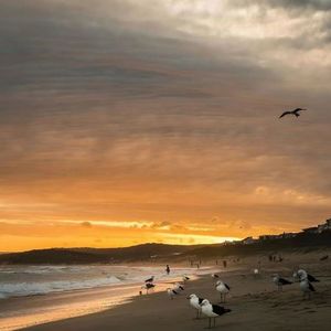 [Free] " 温室记忆 " " R&B ChillGuitar Trap Type Beat "