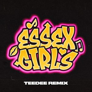 Essex Girls (feat. Jaykae, Silky & Janice Robinson) [TeeDee Remix] [Extended]