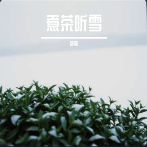煮茶听雪
