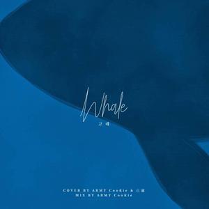 Whale (고래)（翻自 AKMU.）