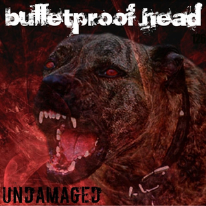 Bulletproof Head