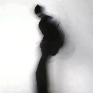 我本将心向明月