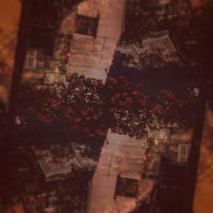 我不得不說再見了