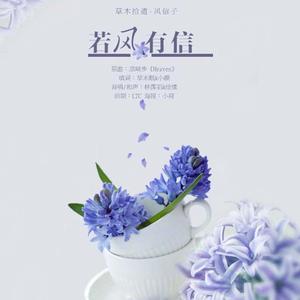 若风有信