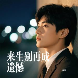 来生别再成遗憾