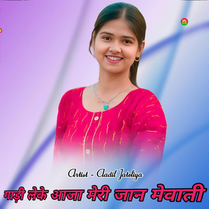 गाड़ी लेके आजा मेरी जान मेवाती