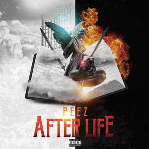 AfterLife