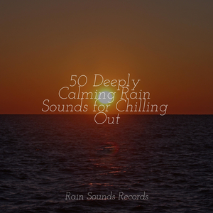 Brook, Steady, Liquid, Noon