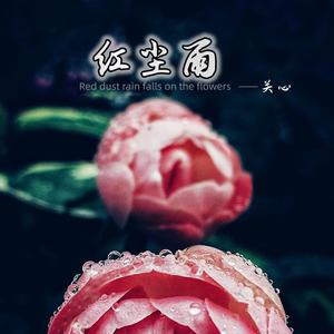 红尘雨 (DJ阿能版)