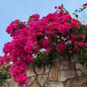 恐婚人，别怕！