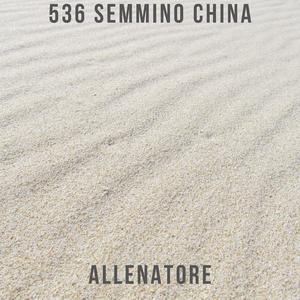 Allenatore