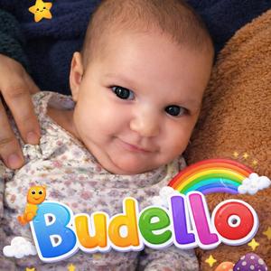 Budello