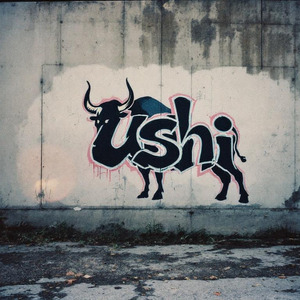 Ushi