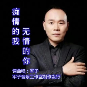 痴情的我无情的你