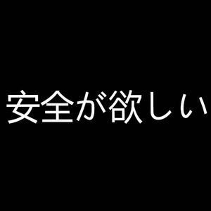 安全が欲しい