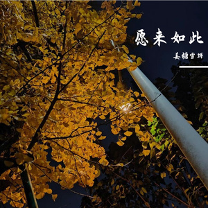 特别的人