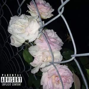 miss u all the night