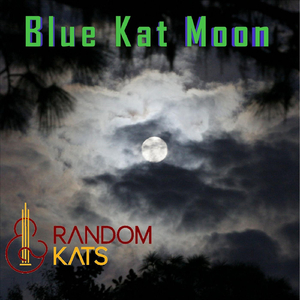 Not the Way Back Home