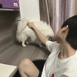 许厌泽