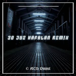 30 JUZ HAFALAN (Remix)