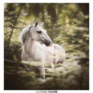 Lil Nas X-Old Town Road（Ruffian Bomb remix）