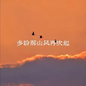 多盼那山风再起