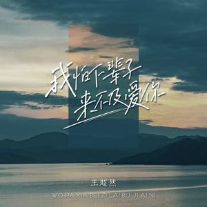 我怕下辈子来不及爱你