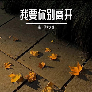 我要你别离开（翻自 h3R3）