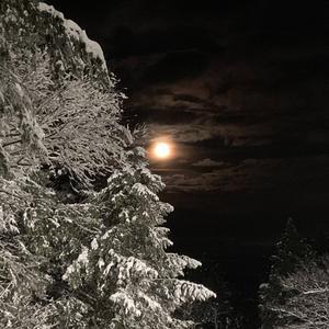 zombie (feat. 0kmateo)