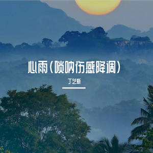 心雨(唢呐伤感降调)
