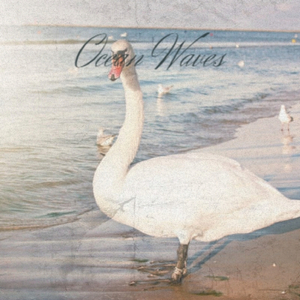 The Hall Of The Mountain King