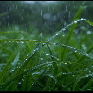Drizzling Raindrops